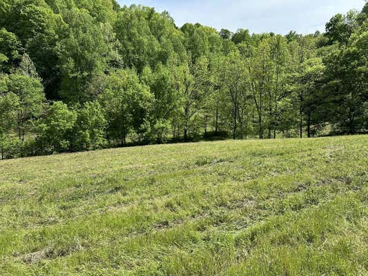 0 MASSEY HOLLOW RD, ELMWOOD, TN 38560 - Image 1