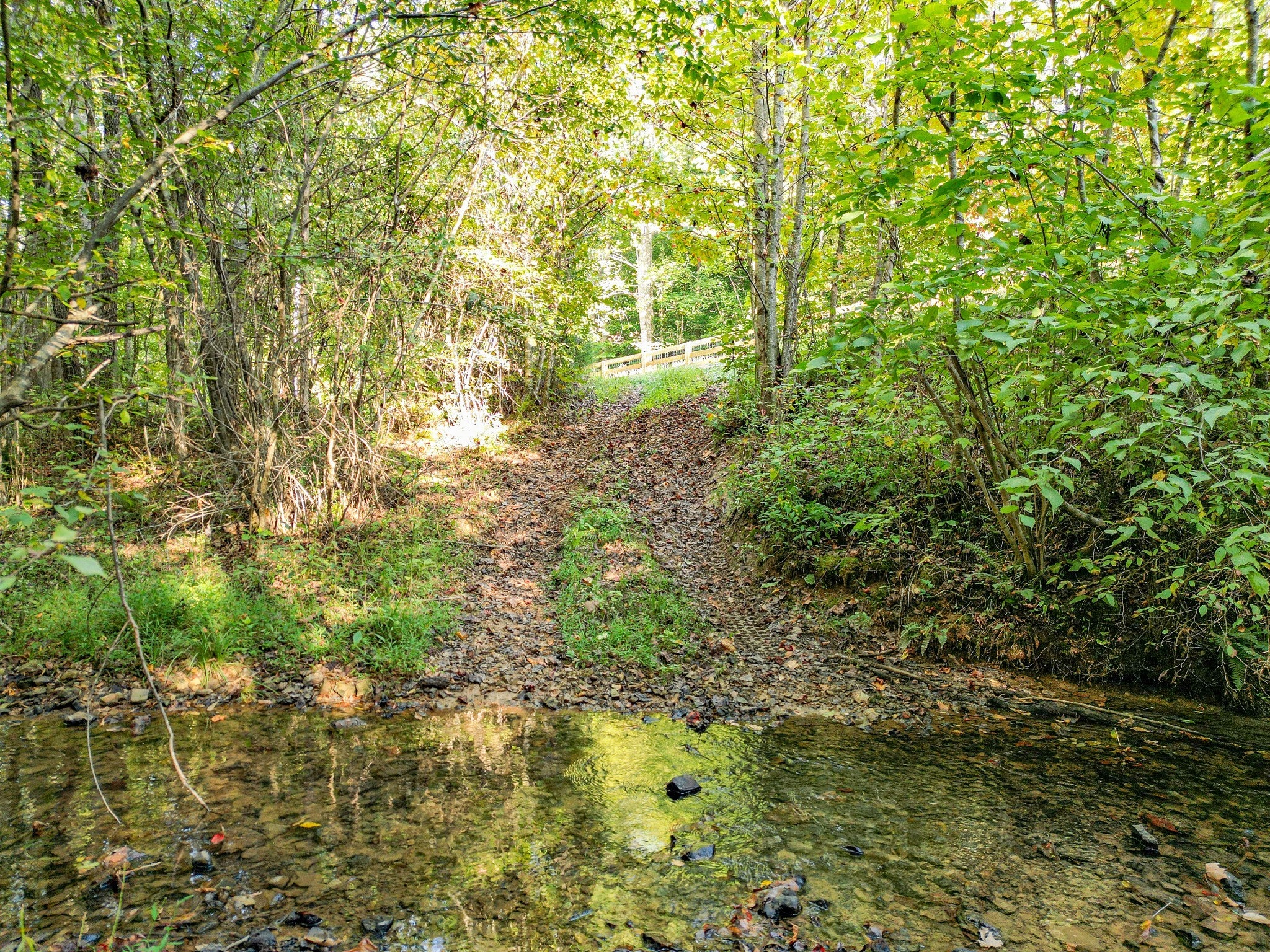 Hohenwald, Tennessee, 38462, United States, 6 Bedrooms Bedrooms, ,3 BathroomsBathrooms,Residential,Active,1964507