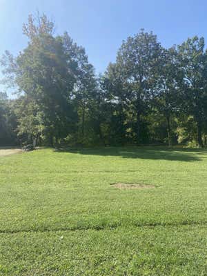 390 DUCK BLIND RD, CLIFTON, TN 38425 - Image 1