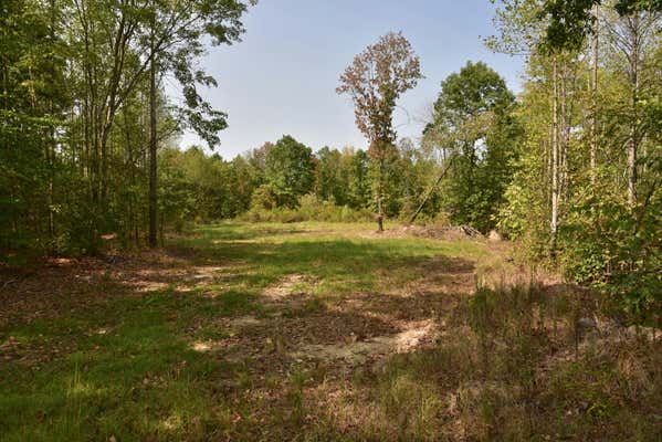 0 FIRE TOWER RD, ERIN, TN 37061 - Image 1