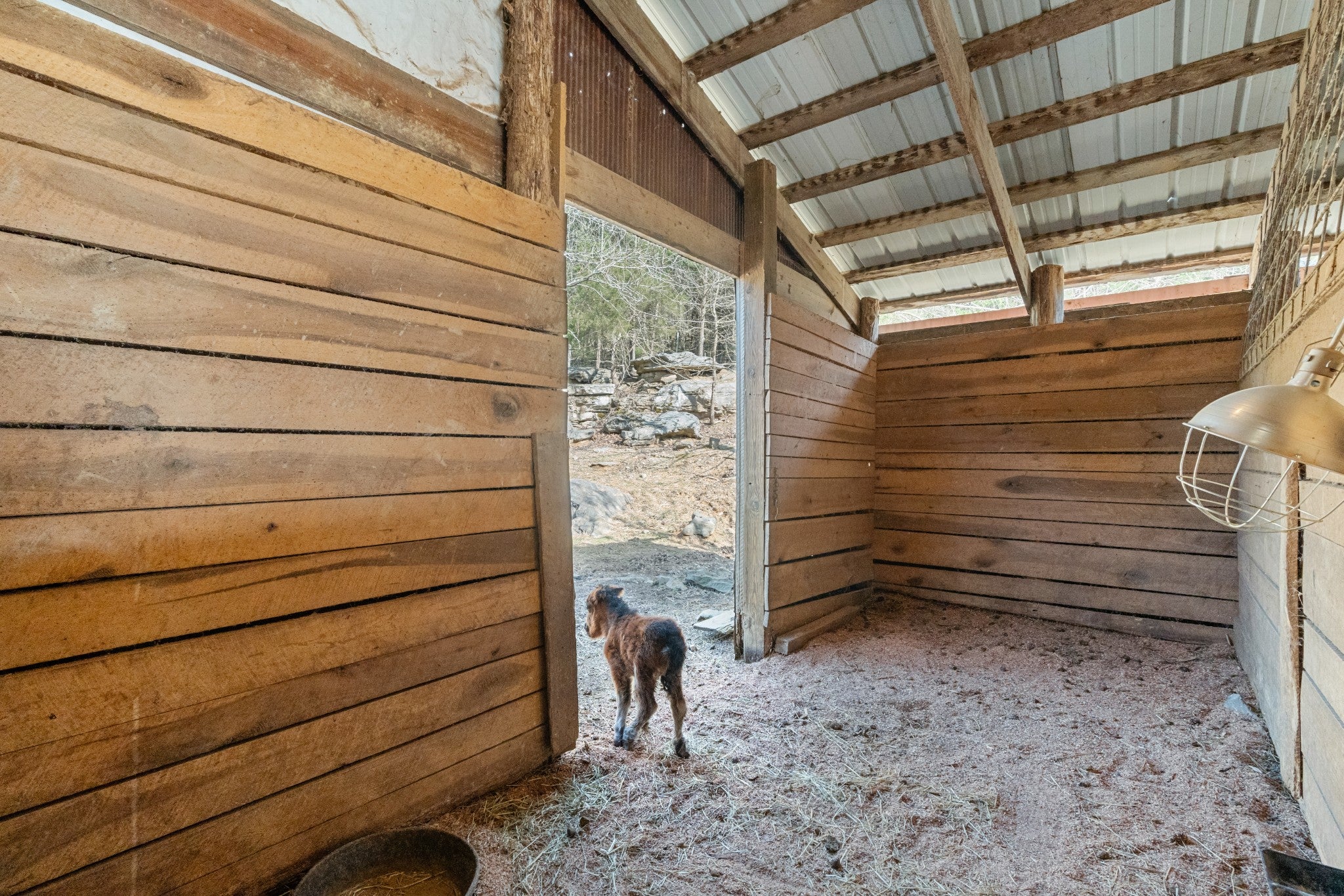 Dowelltown, Tennessee, 37059, United States, 4 Bedrooms Bedrooms, ,2 BathroomsBathrooms,Residential,Active,1745626