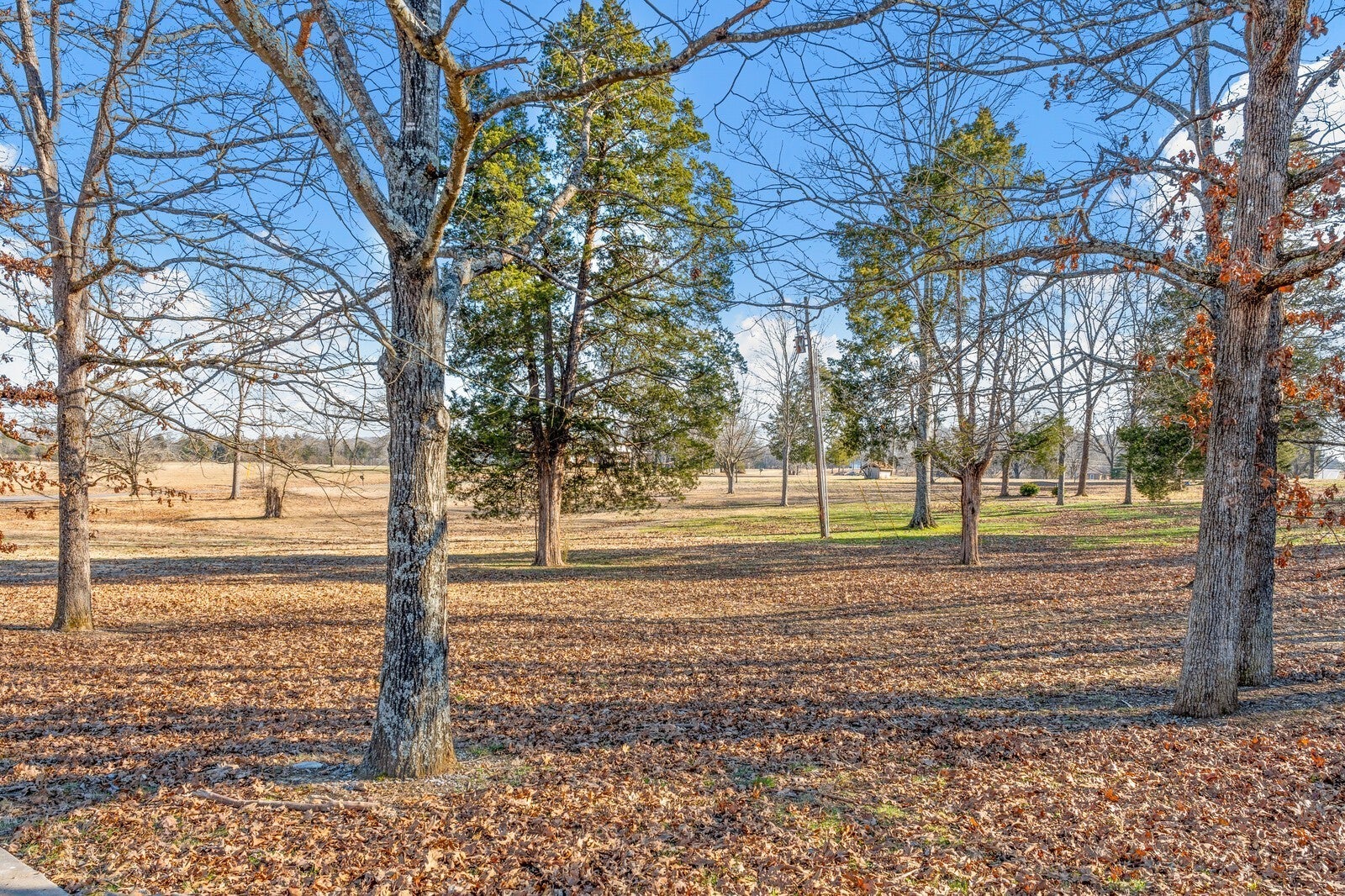 Mount Juliet, Tennessee, 37122, United States, 5 Bedrooms Bedrooms, ,5 BathroomsBathrooms,Residential,Active,1973649