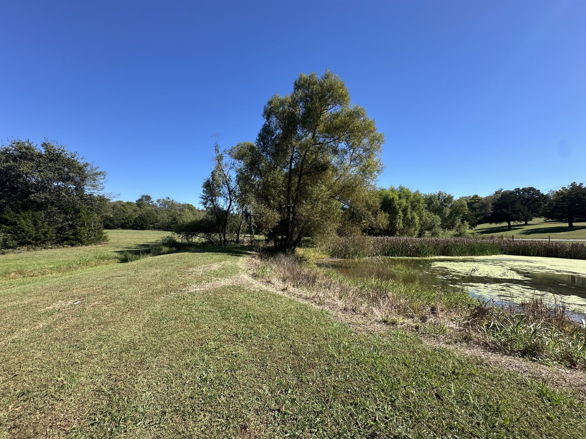 Mount Juliet, Tennessee, 37122, United States, 3 Bedrooms Bedrooms, ,3 BathroomsBathrooms,Residential,Active,1945349
