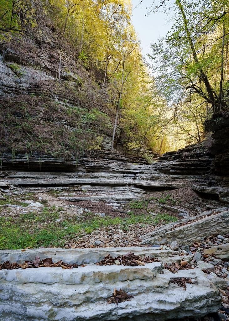 Smithville, Tennessee, 37166, United States, ,7 BathroomsBathrooms,Residential,Active,1769789