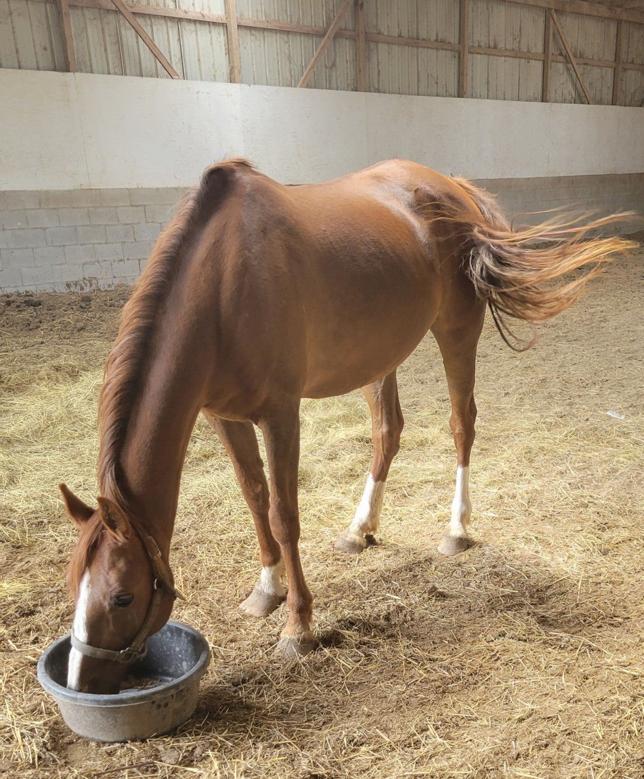 Dowelltown, Tennessee, 37059, United States, 4 Bedrooms Bedrooms, ,2 BathroomsBathrooms,Residential,Active,1745626