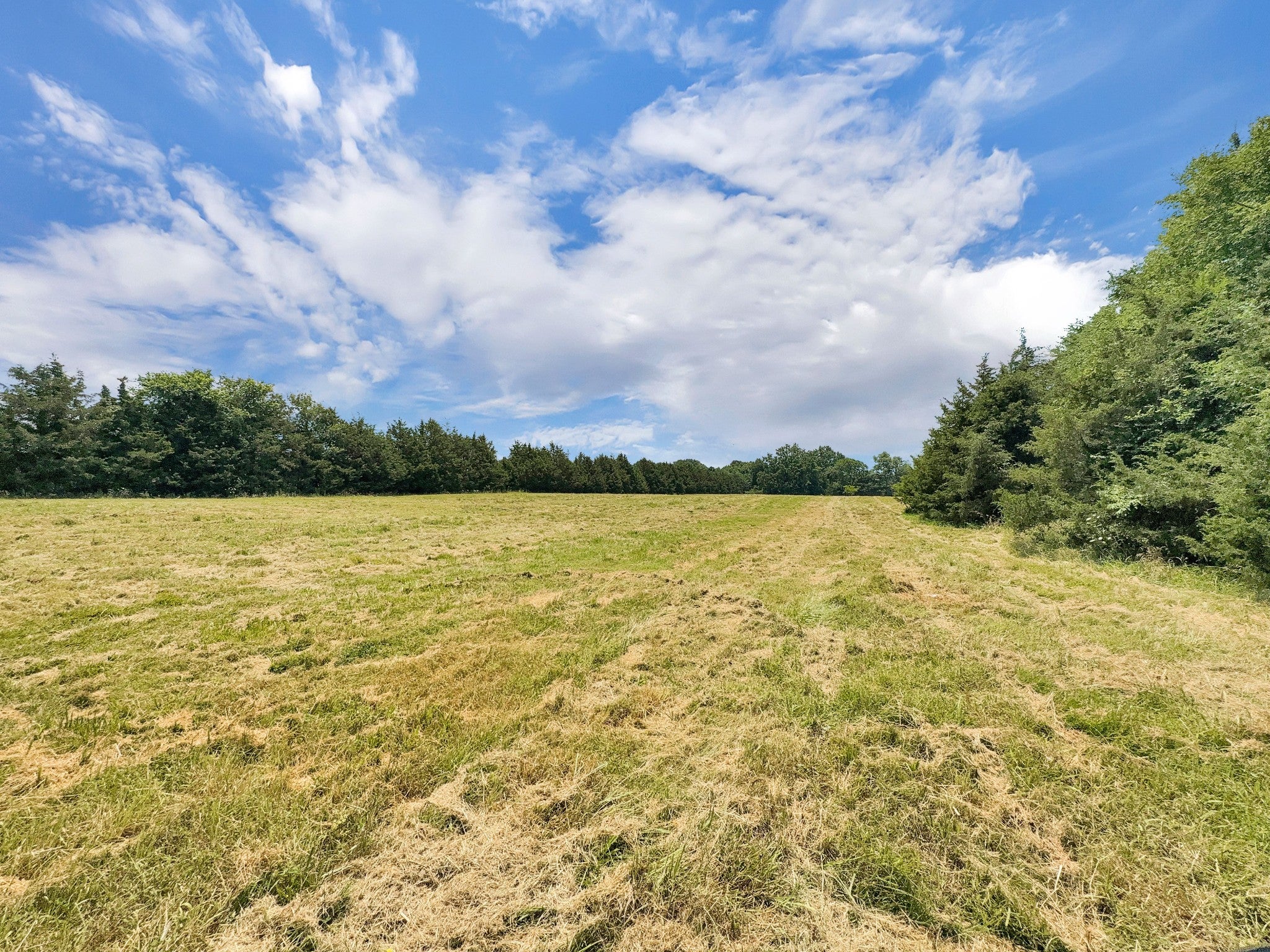 Lebanon, Tennessee, 37090, United States, ,3 BathroomsBathrooms,Residential,Active,1863498