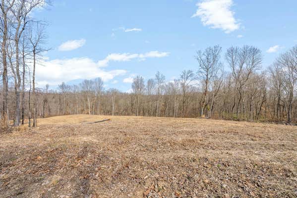 1 BOB WALKER RD, BUMPUS MILLS, TN 37028 - Image 1