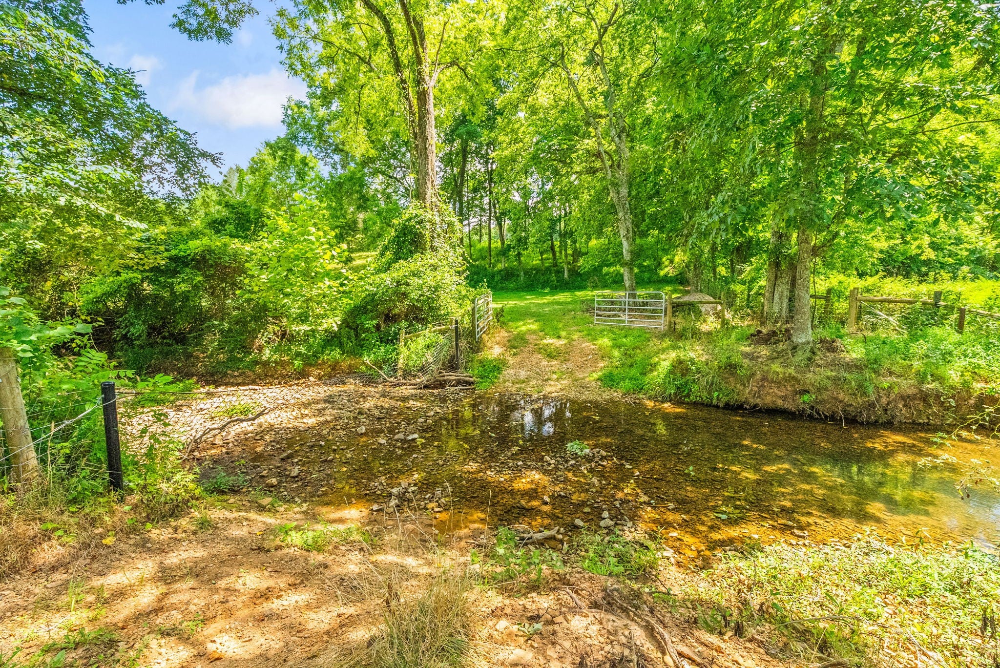 Cross Plains, Tennessee, 37049, United States, 5 Bedrooms Bedrooms, ,6 BathroomsBathrooms,Residential,Active,1919379