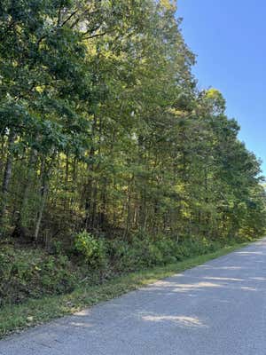 0 SANDYS CAMP RD, BIG SANDY, TN 38221 - Image 1