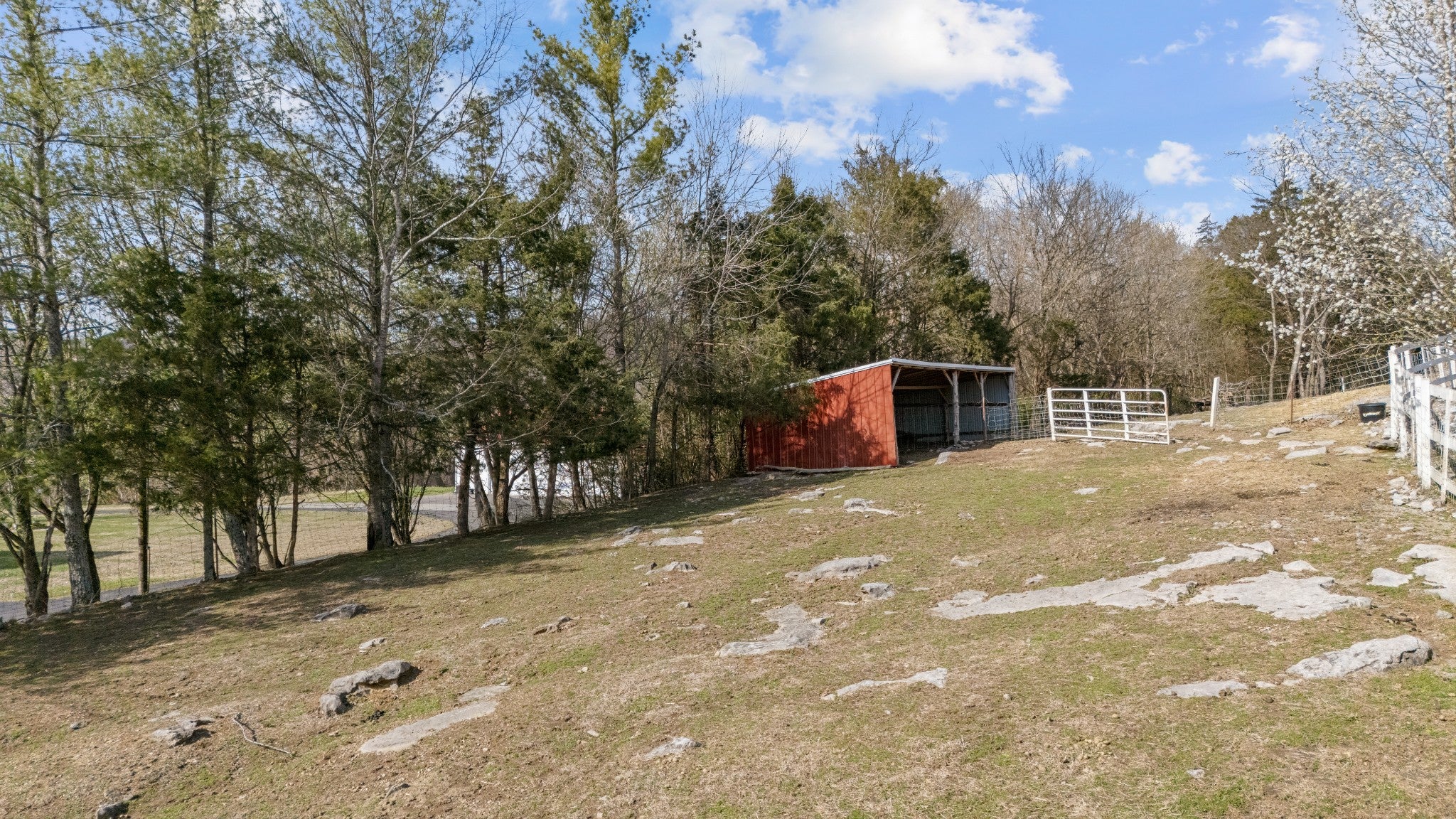 Dowelltown, Tennessee, 37059, United States, 4 Bedrooms Bedrooms, ,2 BathroomsBathrooms,Residential,Active,1745626