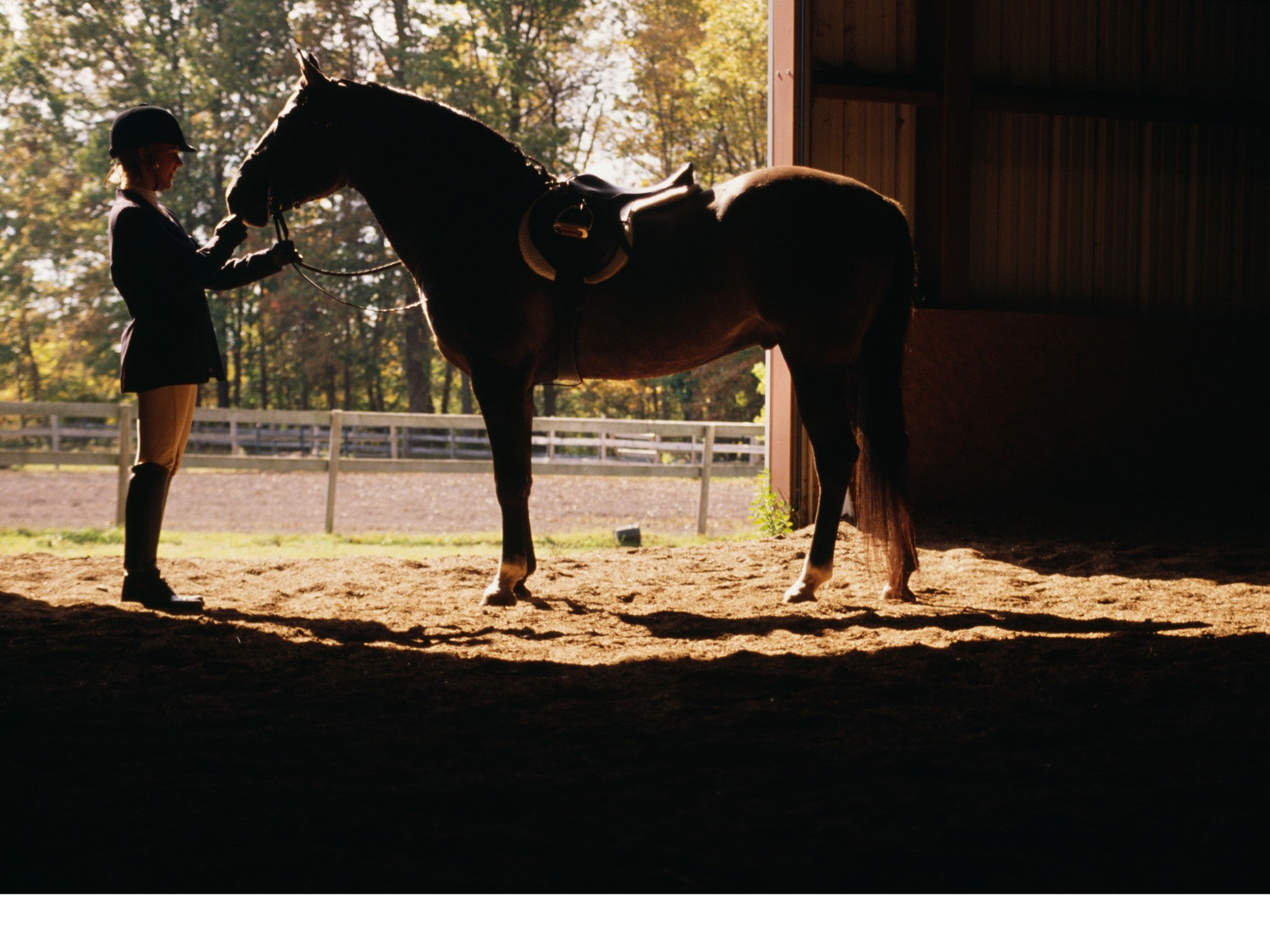 Lebanon, Tennessee, 37090, United States, 3 Bedrooms Bedrooms, ,4 BathroomsBathrooms,Residential,Active,1954332