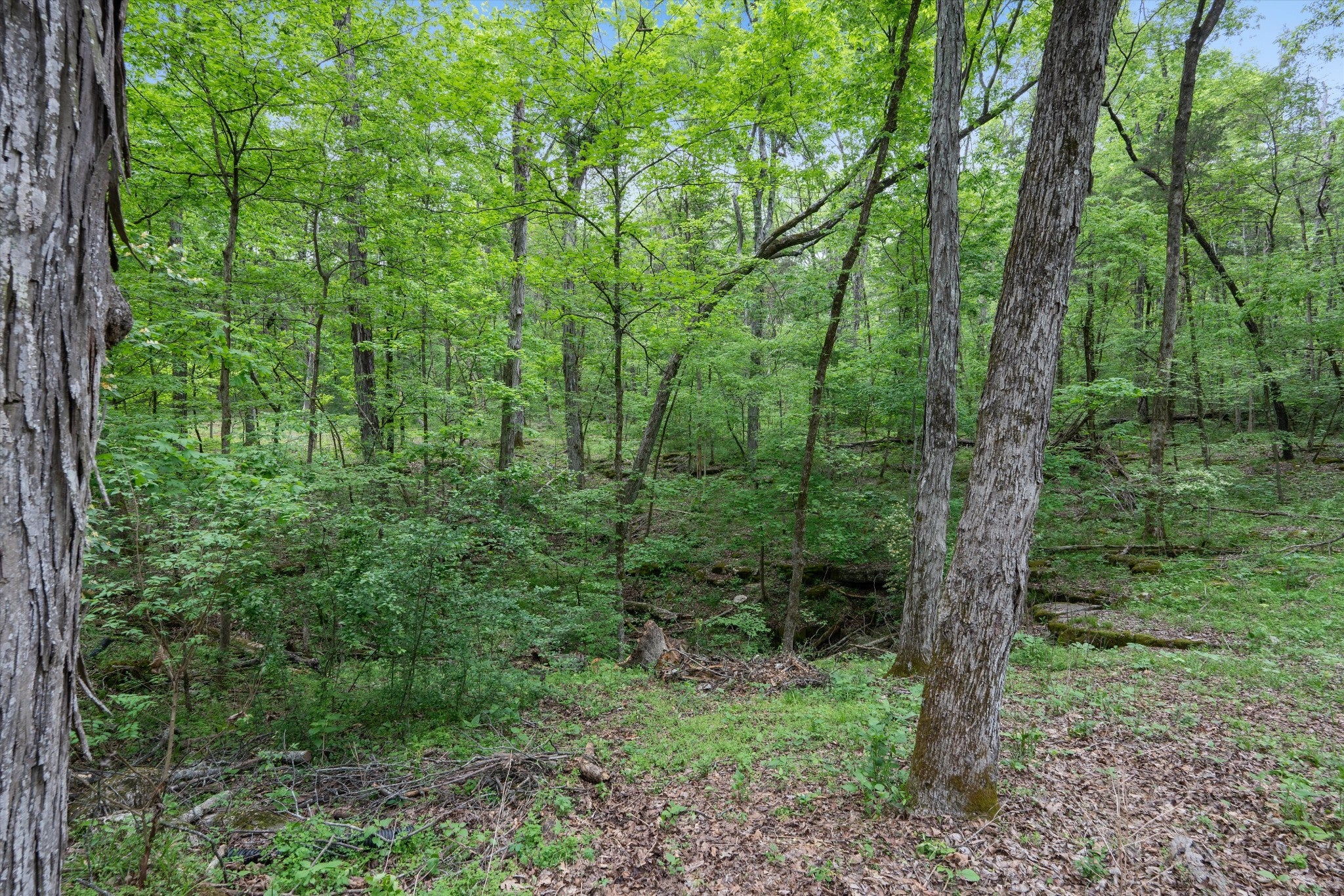 Mount Juliet, Tennessee, 37122, United States, 5 Bedrooms Bedrooms, ,5 BathroomsBathrooms,Residential,Active,1788526