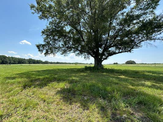 0 VANNTOWN ROAD, FLINTVILLE, TN 37335, photo 2 of 15