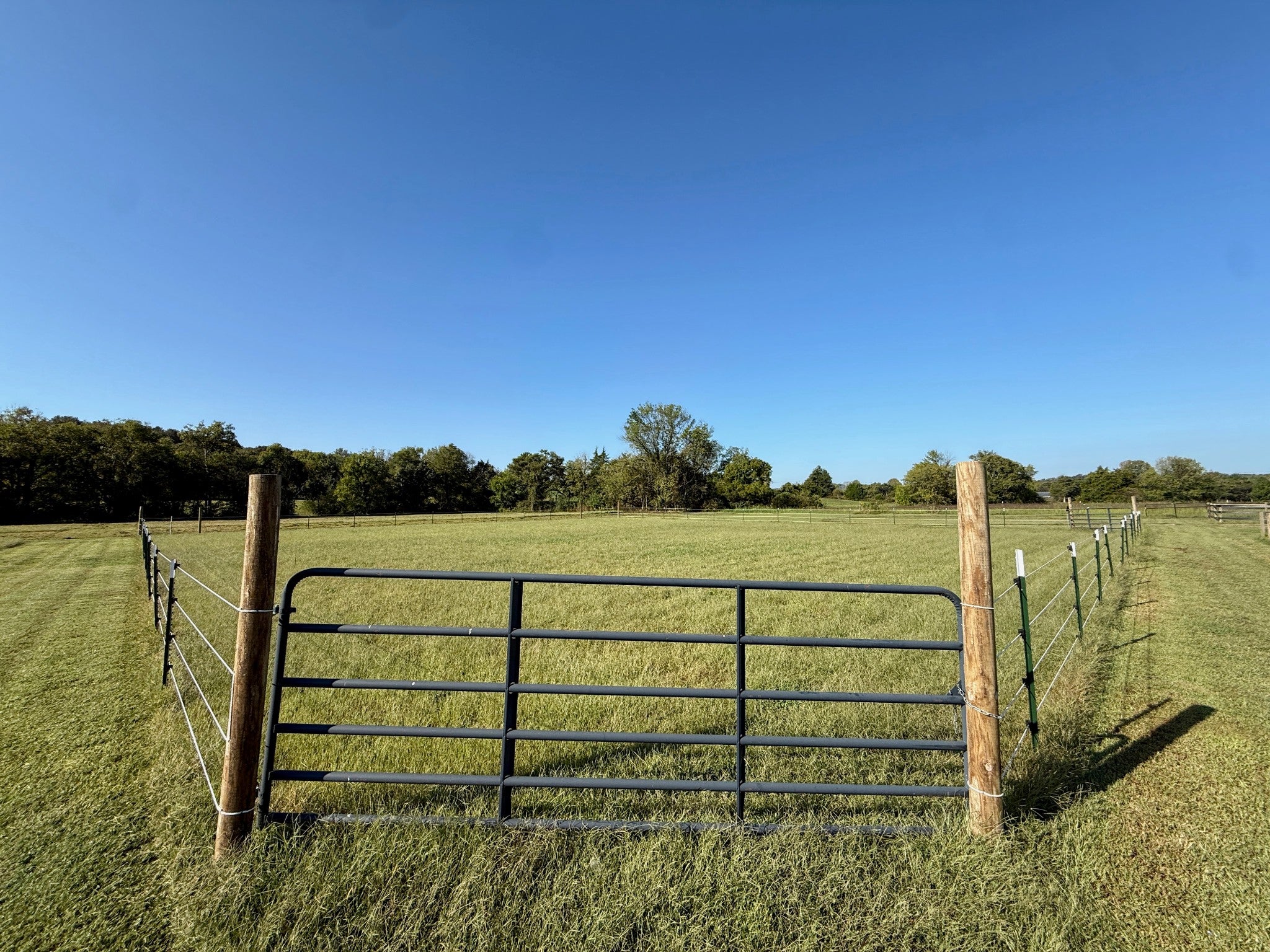 Lebanon, Tennessee, 37090, United States, 3 Bedrooms Bedrooms, ,4 BathroomsBathrooms,Residential,Active,1954332