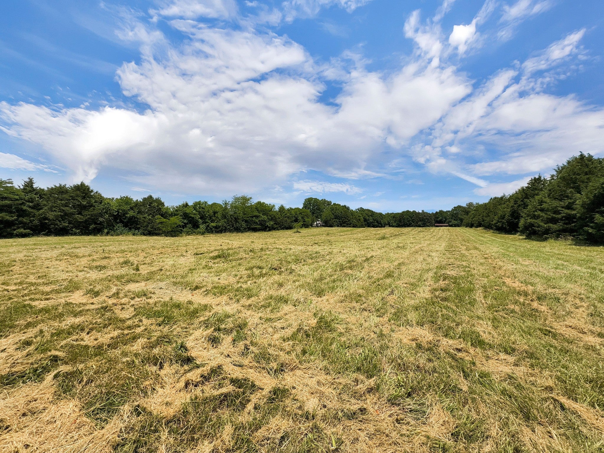 Lebanon, Tennessee, 37090, United States, ,3 BathroomsBathrooms,Residential,Active,1863498