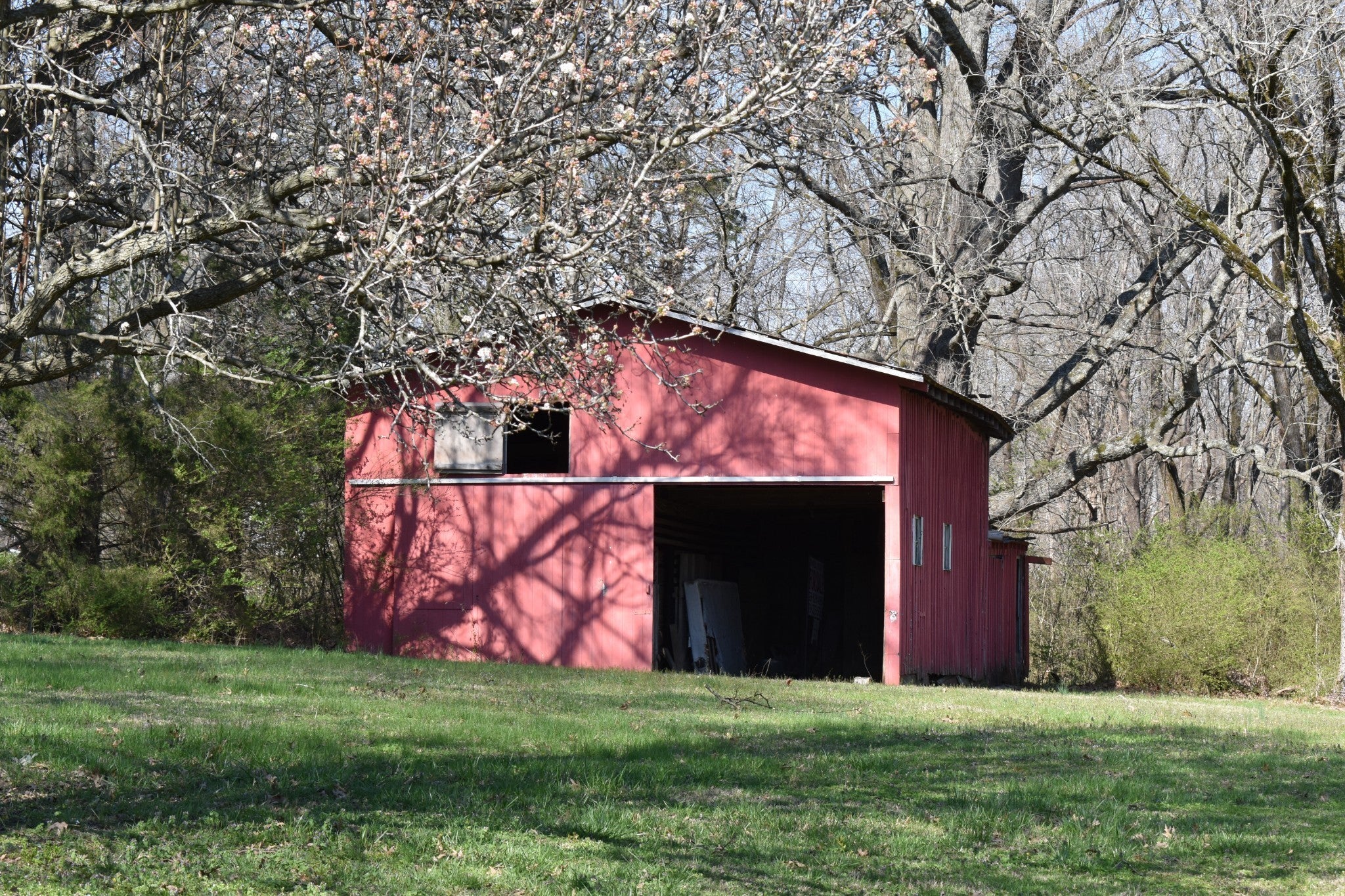 Columbia, Tennessee, 38401, United States, 3 Bedrooms Bedrooms, ,2 BathroomsBathrooms,Residential,Active,1920269