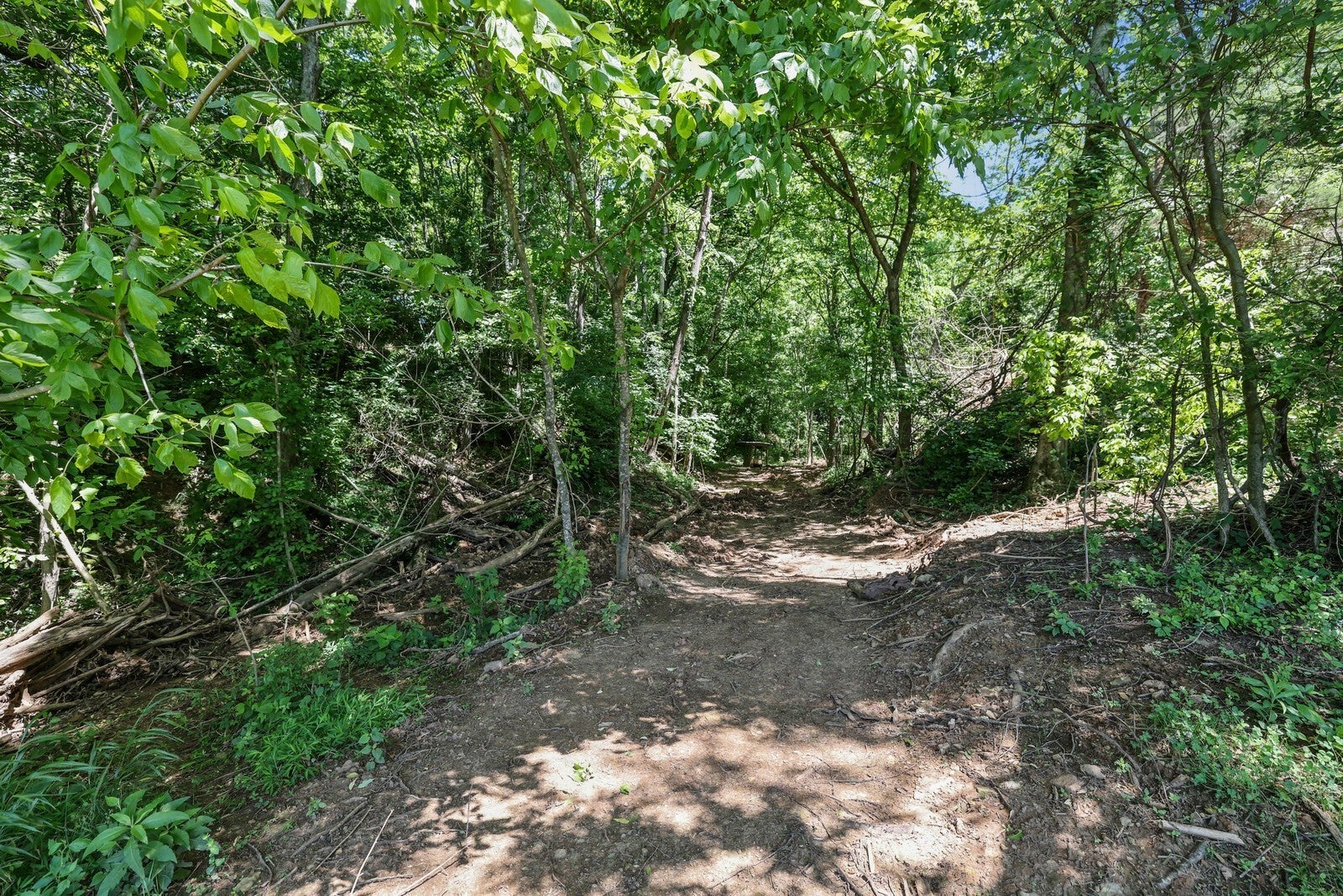 Culleoka, Tennessee, 38451, United States, 3 Bedrooms Bedrooms, ,5 BathroomsBathrooms,Residential,Active,2007337