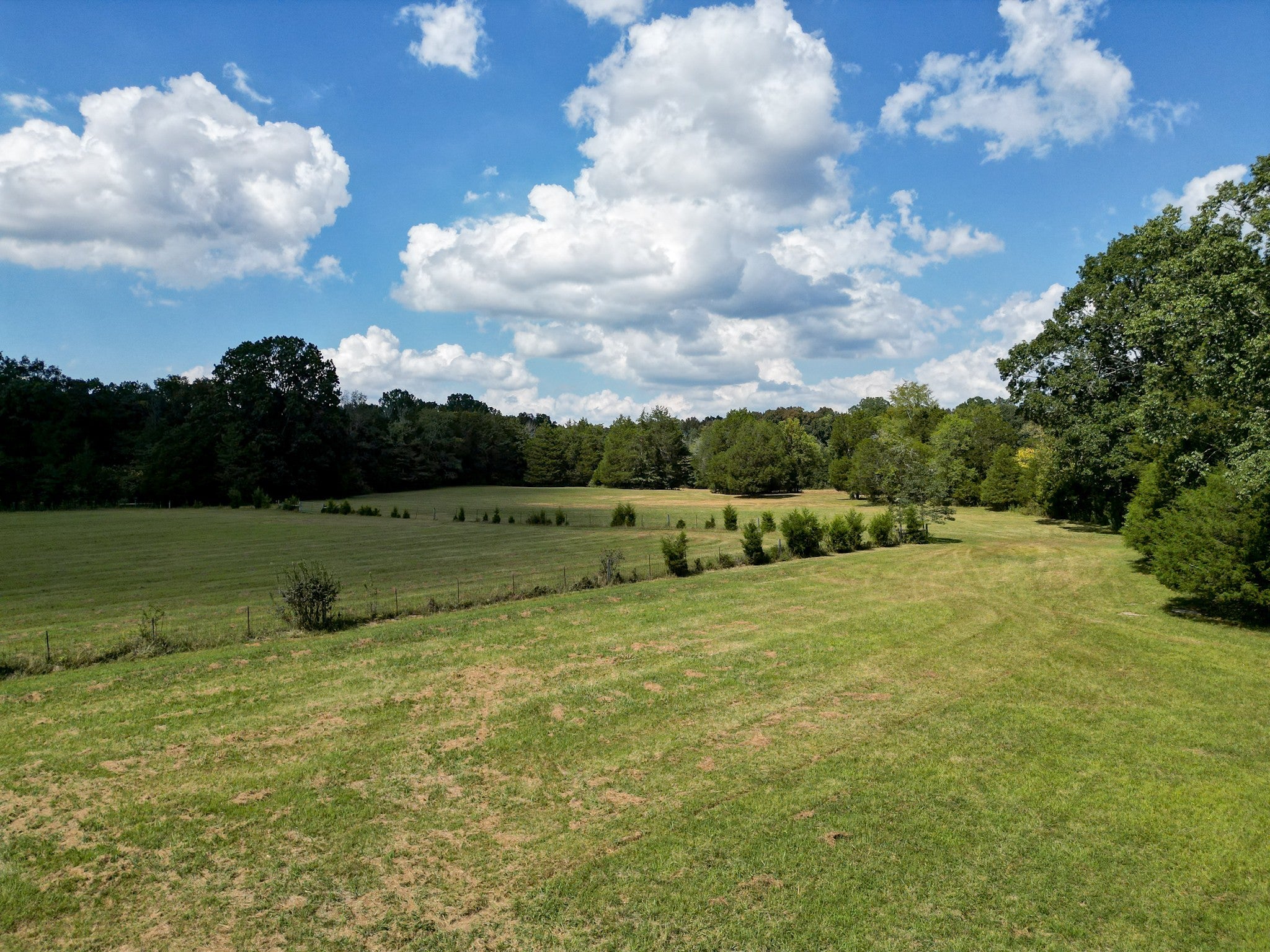 Columbia, Tennessee, 38401, United States, 3 Bedrooms Bedrooms, ,3 BathroomsBathrooms,Residential,Active,1936631