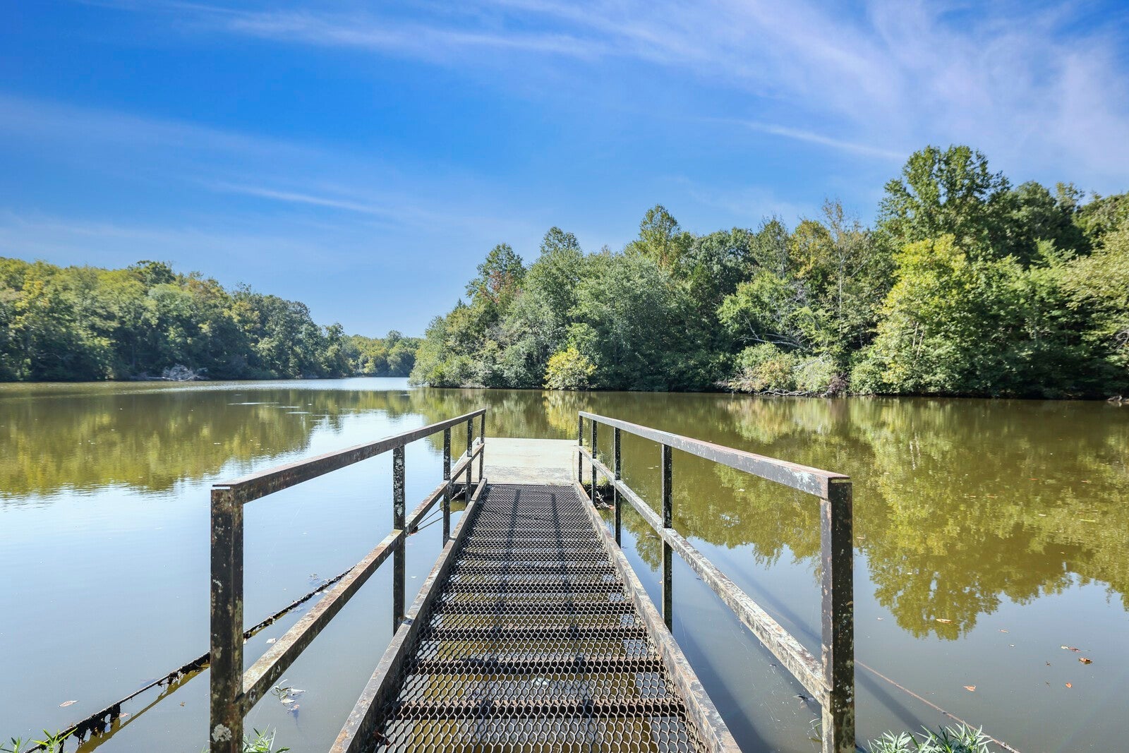 Lebanon, Tennessee, 37087, United States, 5 Bedrooms Bedrooms, ,6 BathroomsBathrooms,Residential,Active,2001060