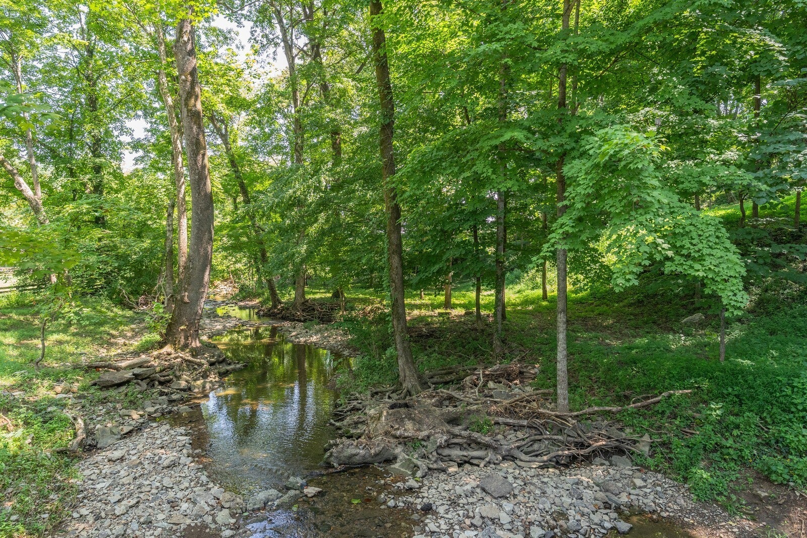 Brentwood, Tennessee, 37027, United States, 3 Bedrooms Bedrooms, ,3 BathroomsBathrooms,Residential,Active,1967284