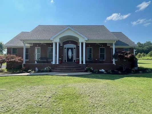 9860 CERULEAN SINKING FORK RD, CERULEAN, KY 42215 - Image 1