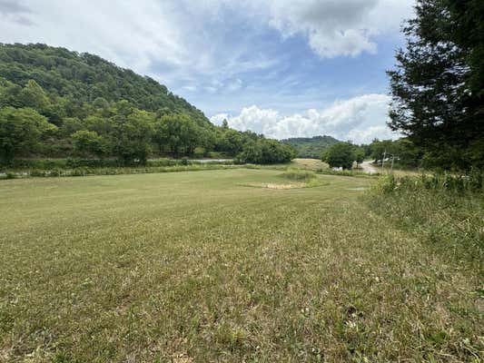 17465 HAPPY HOLLOW RD, BUFFALO VALLEY, TN 38548 - Image 1