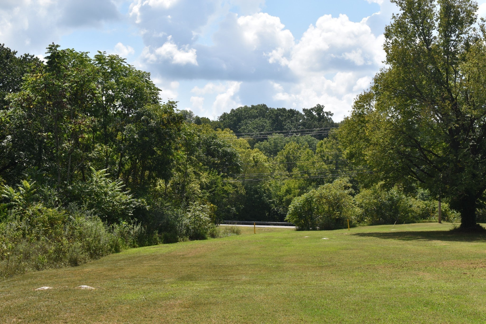 Columbia, Tennessee, 38401, United States, 3 Bedrooms Bedrooms, ,2 BathroomsBathrooms,Residential,Active,1920269