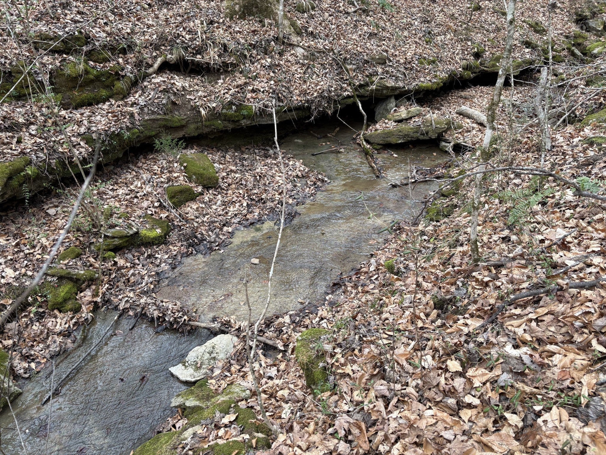 Centerville, Tennessee, 37033, United States, 3 Bedrooms Bedrooms, ,3 BathroomsBathrooms,Residential,Active,2007309