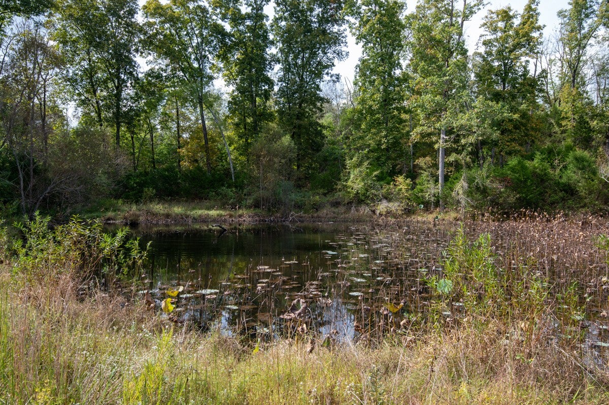 Westmoreland, Tennessee, 37186, United States, 3 Bedrooms Bedrooms, ,3 BathroomsBathrooms,Residential,Active,1964466