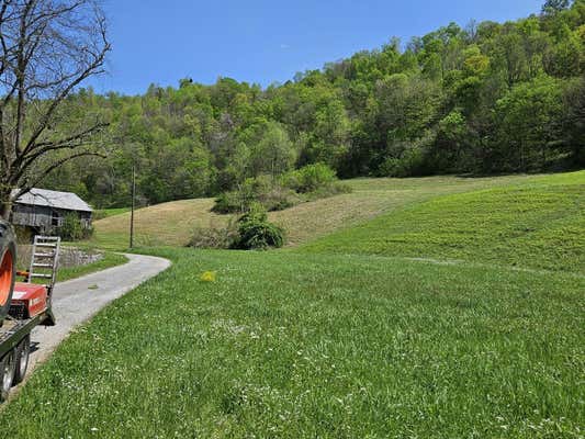 0 HAPPY HOLLOW LN, PLEASANT SHADE, TN 37145 - Image 1