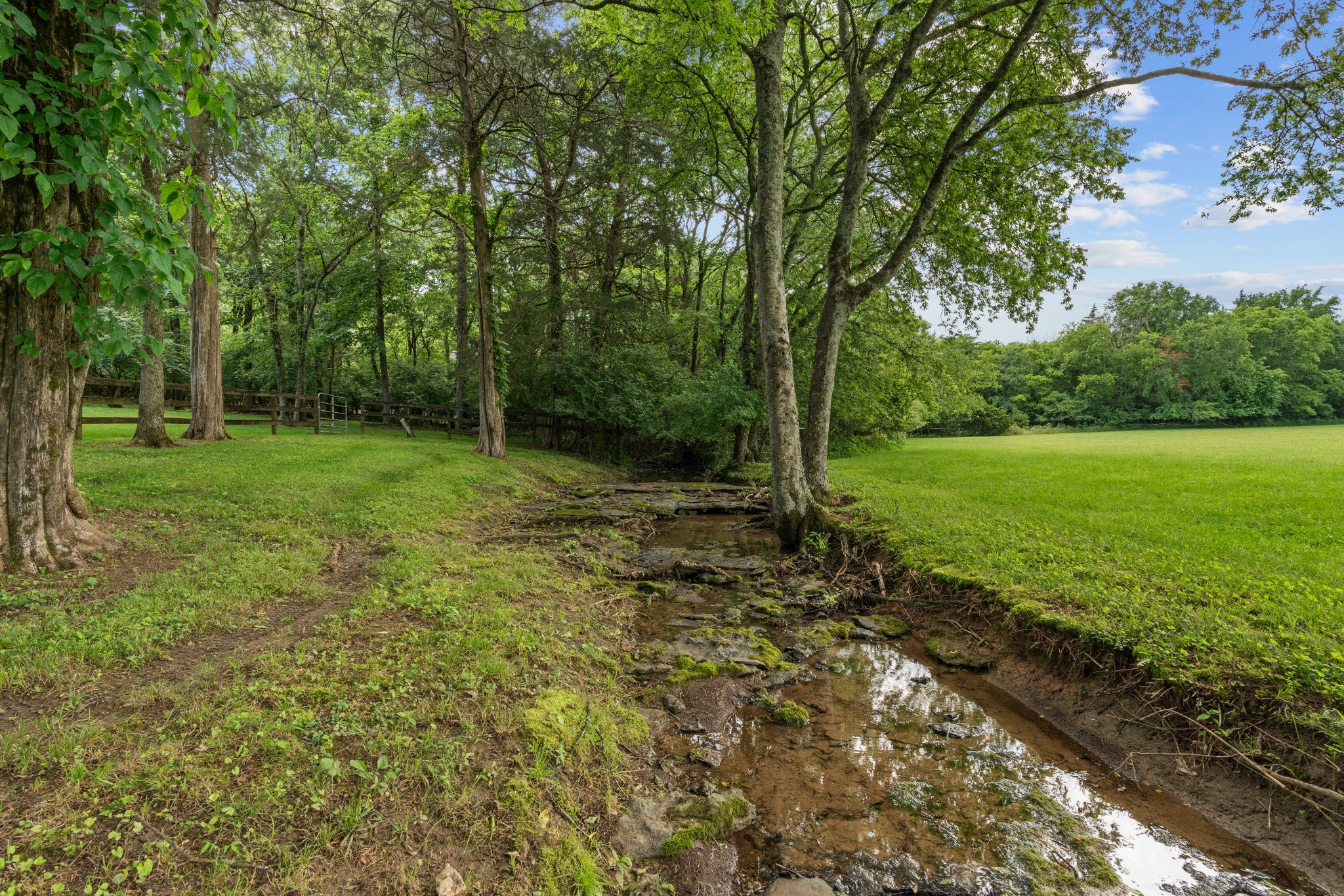 Gallatin, Tennessee, 37066, United States, 4 Bedrooms Bedrooms, ,5 BathroomsBathrooms,Residential,Active,1834473