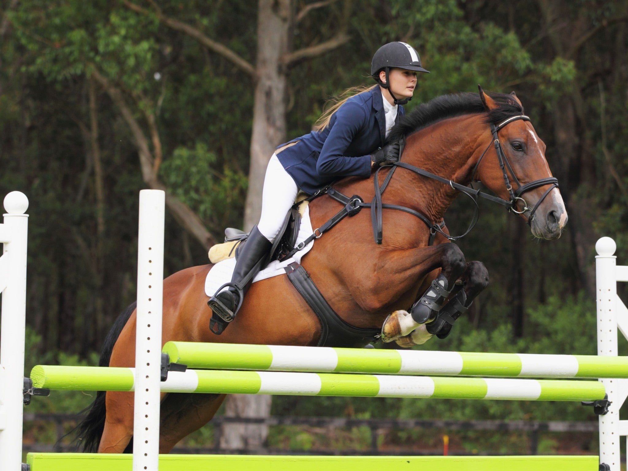 Lebanon, Tennessee, 37090, United States, 3 Bedrooms Bedrooms, ,4 BathroomsBathrooms,Residential,Active,1954332