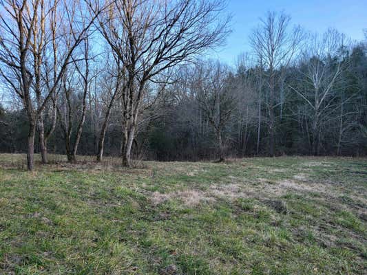 0 HANNAH BR RD, PETERSBURG, TN 37144 - Image 1