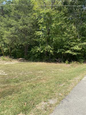 0 HWY 47, WHITE BLUFF, TN 37187 - Image 1