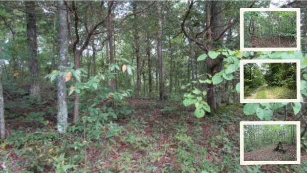 5 AC BACKWOODS TRAIL, CELINA, TN 38551 - Image 1