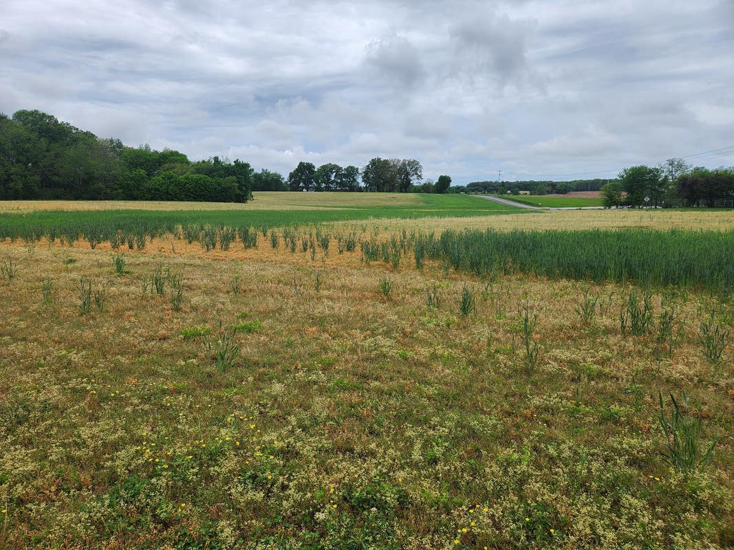 7ecc5cecc5e763de98f9d99f9d8c30