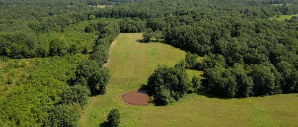 1194 BAILEY HOLLOW RD, ERIN, TN 37061, photo 5 of 30