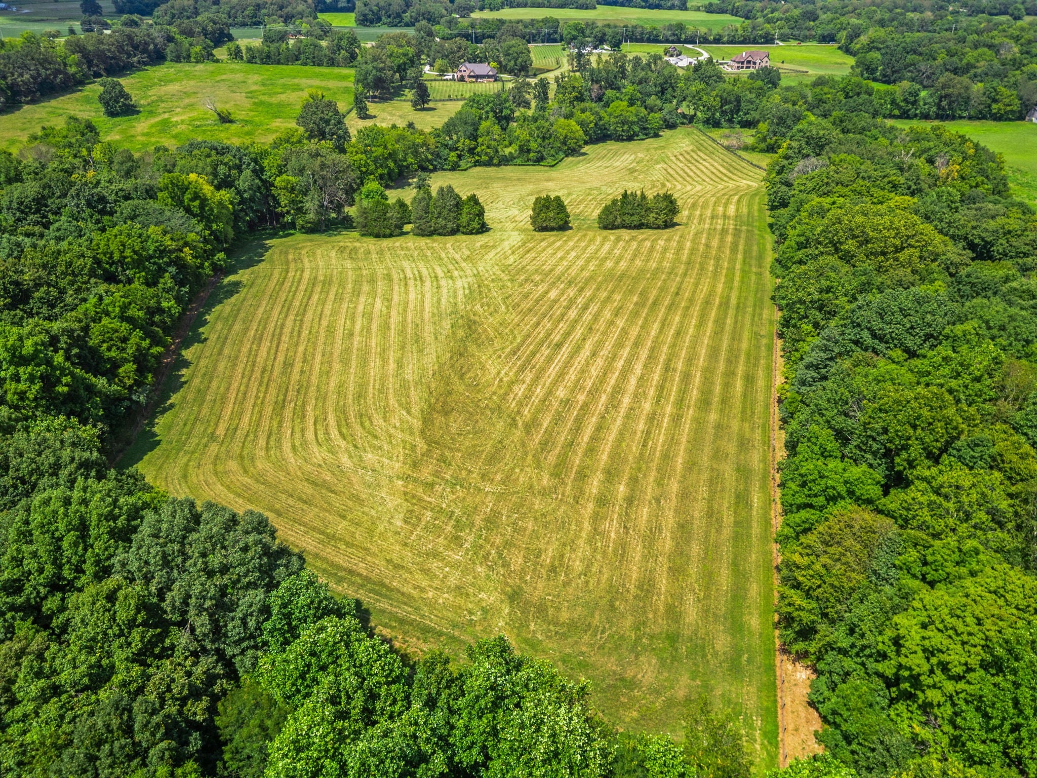 Cross Plains, Tennessee, 37049, United States, 5 Bedrooms Bedrooms, ,6 BathroomsBathrooms,Residential,Active,1919379