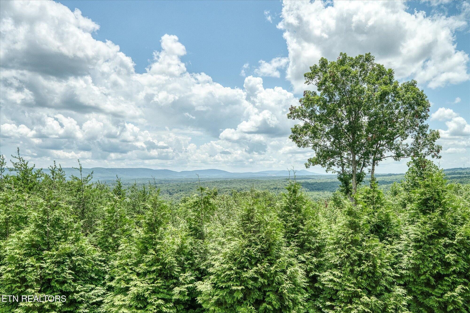 Crossville, Tennessee, 38558, United States, 4 Bedrooms Bedrooms, ,4 BathroomsBathrooms,Residential,Active,2011427