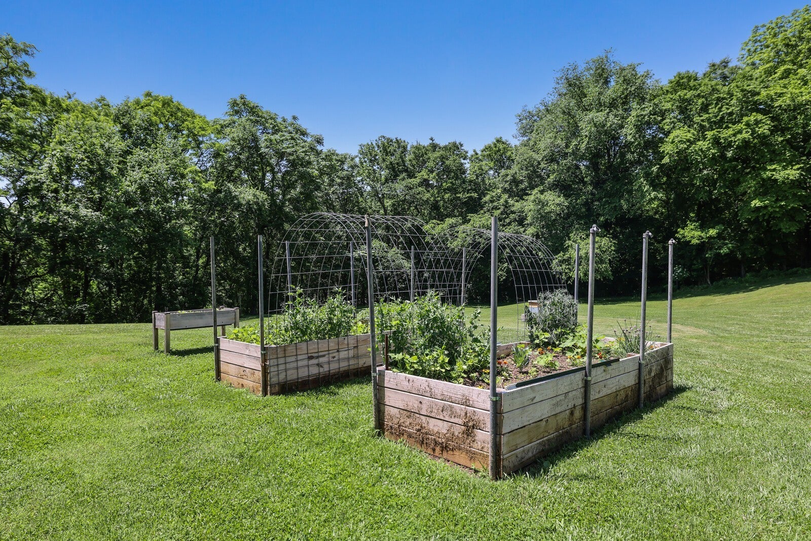 Culleoka, Tennessee, 38451, United States, 3 Bedrooms Bedrooms, ,5 BathroomsBathrooms,Residential,Active,2007337