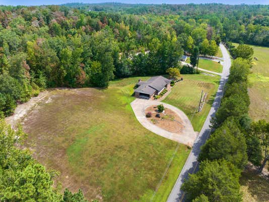 1907 OLD PERRYVILLE RD, PARSONS, TN 38363 - Image 1