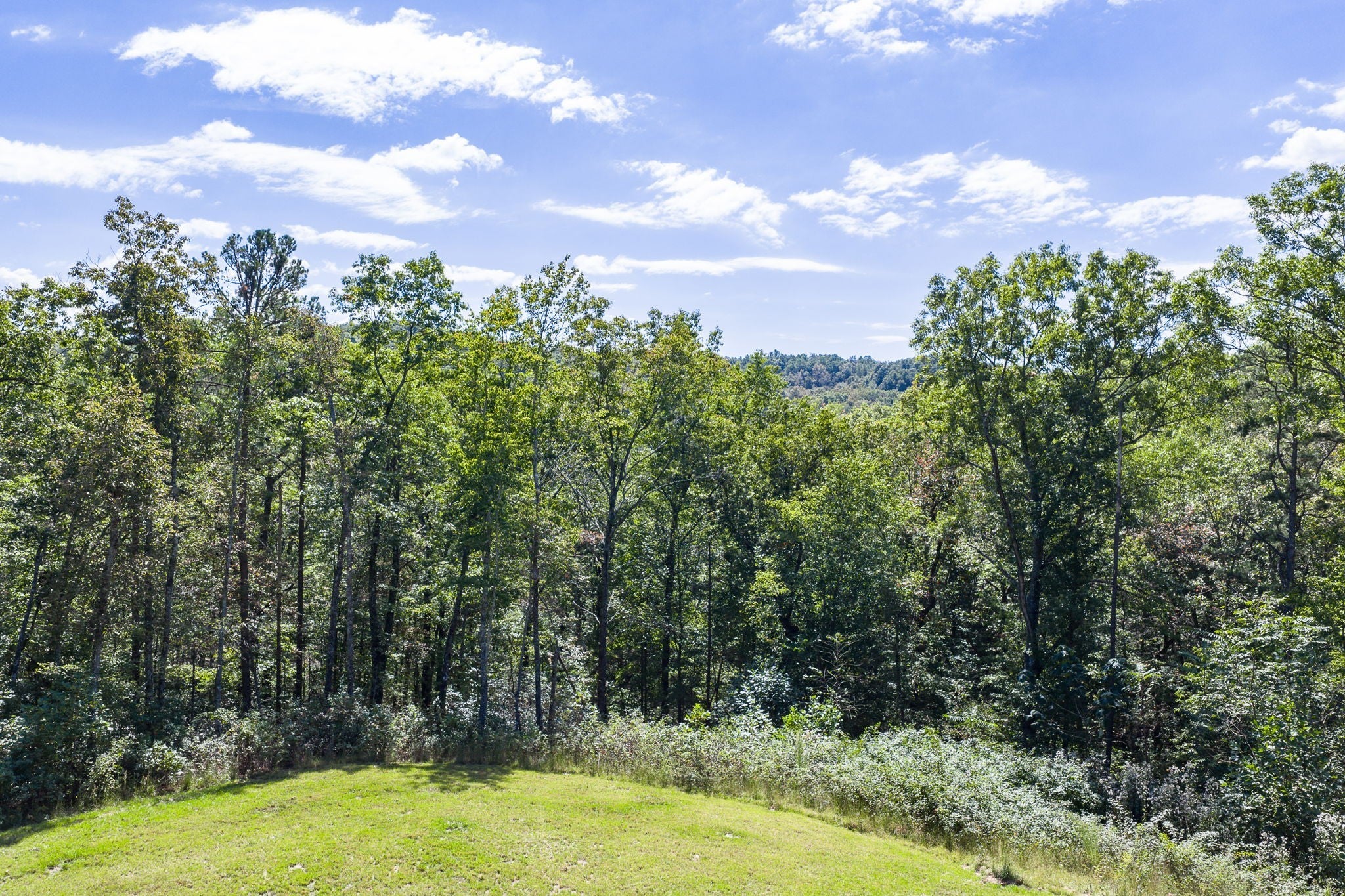 Crawford, Tennessee, 38554, United States, 3 Bedrooms Bedrooms, ,4 BathroomsBathrooms,Residential,Active,2007956