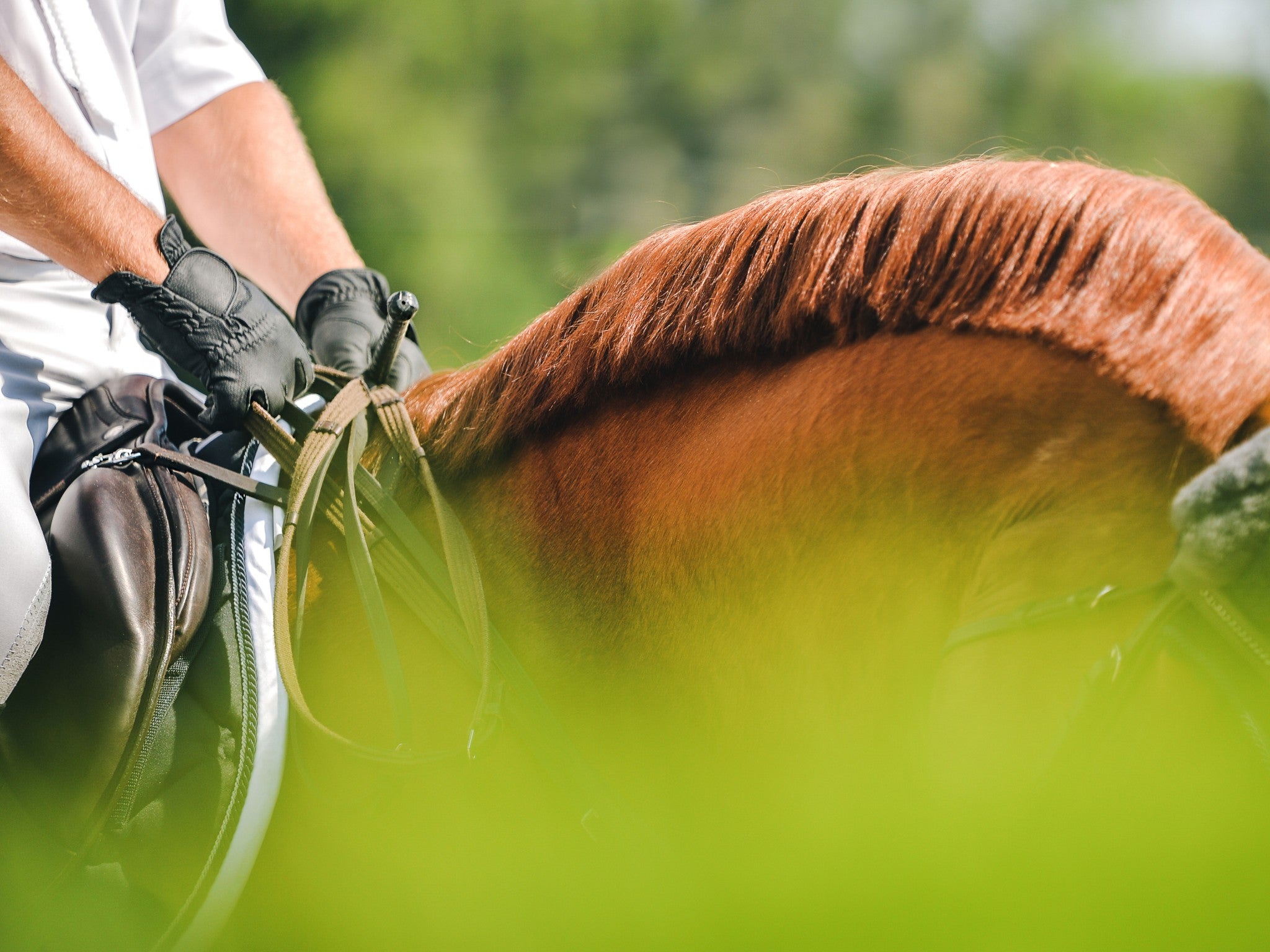 Lebanon, Tennessee, 37090, United States, 3 Bedrooms Bedrooms, ,4 BathroomsBathrooms,Residential,Active,1954332