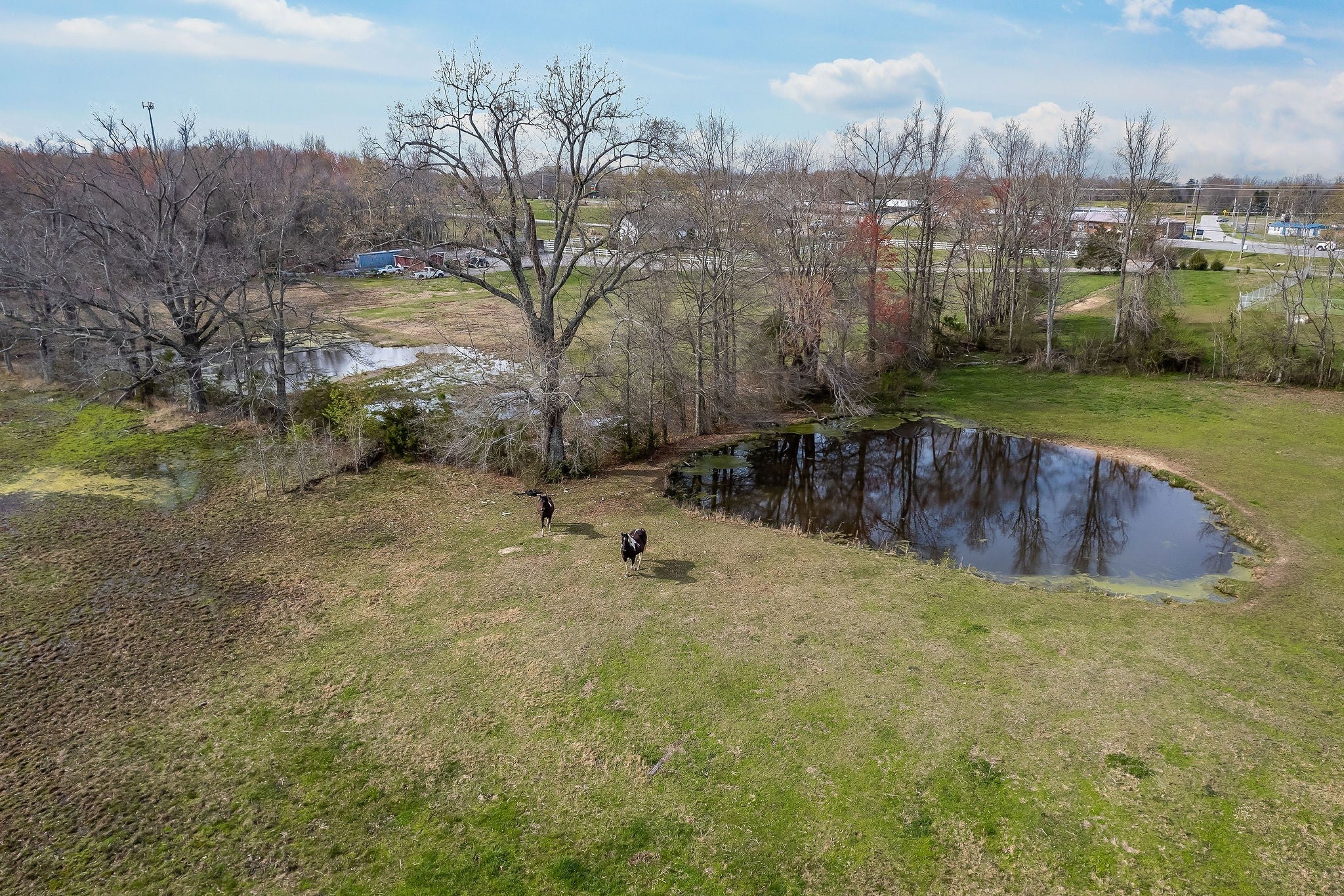 Smithville, Tennessee, 37166, United States, ,2 BathroomsBathrooms,Residential,Active,1834319