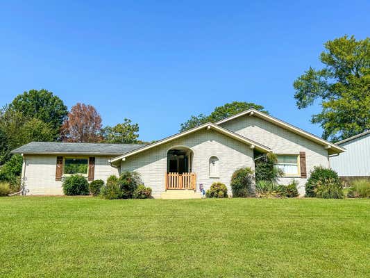 143 DIAMOND DR, MC KENZIE, TN 38201 - Image 1