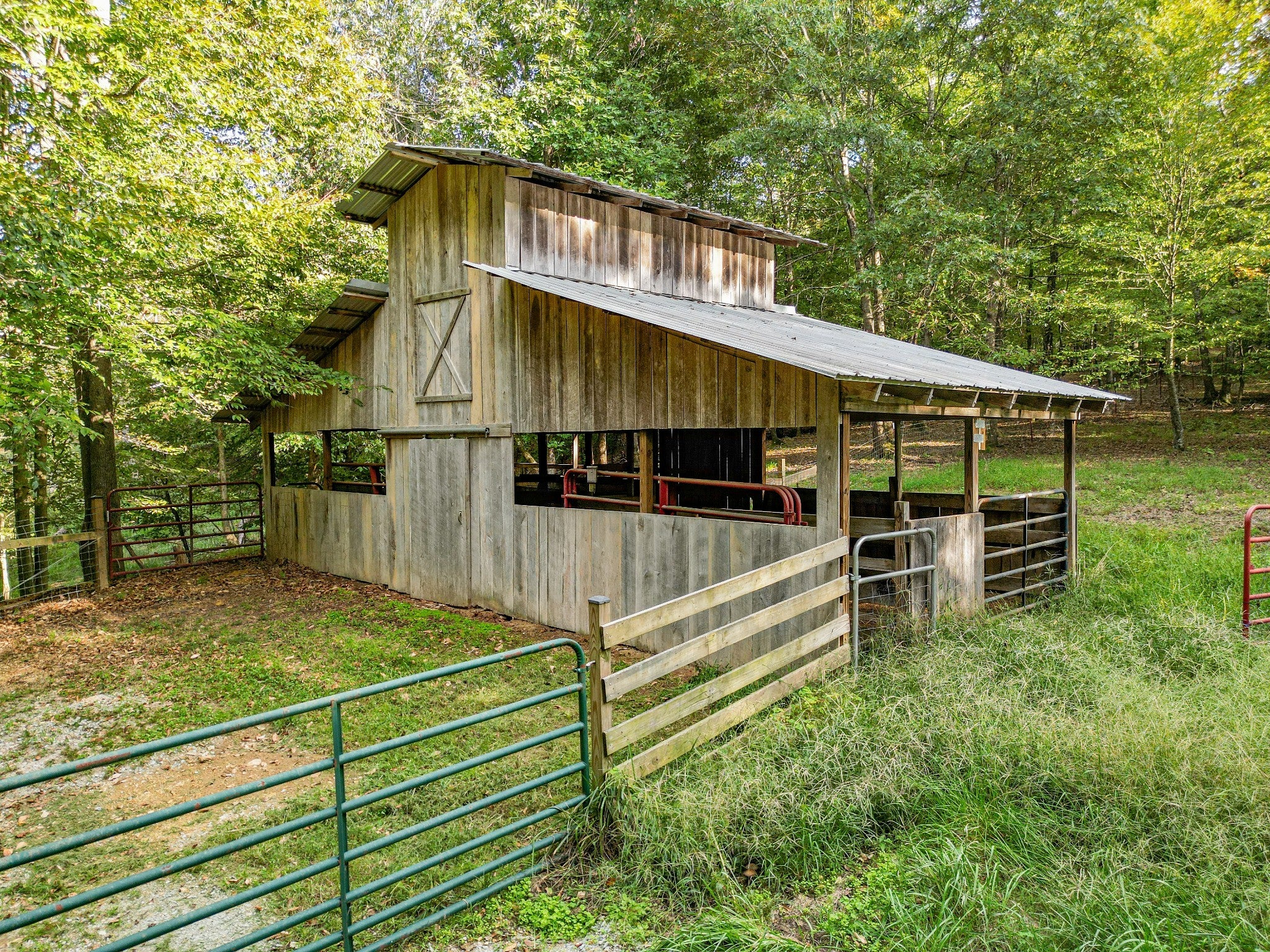 Hohenwald, Tennessee, 38462, United States, 6 Bedrooms Bedrooms, ,3 BathroomsBathrooms,Residential,Active,1964507