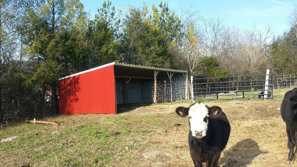 Dowelltown, Tennessee, 37059, United States, 4 Bedrooms Bedrooms, ,2 BathroomsBathrooms,Residential,Active,1745626