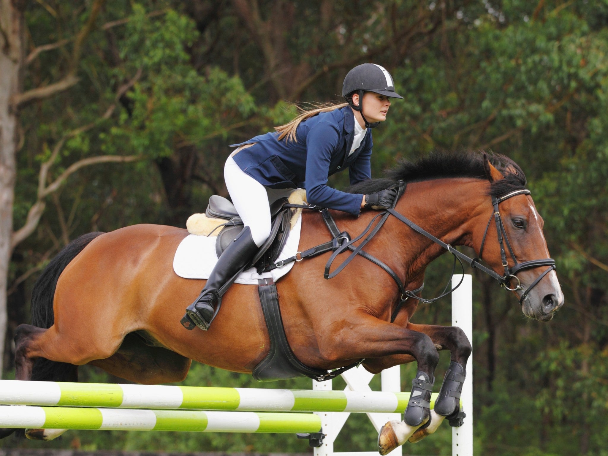 Lebanon, Tennessee, 37090, United States, 3 Bedrooms Bedrooms, ,4 BathroomsBathrooms,Residential,Active,1954332