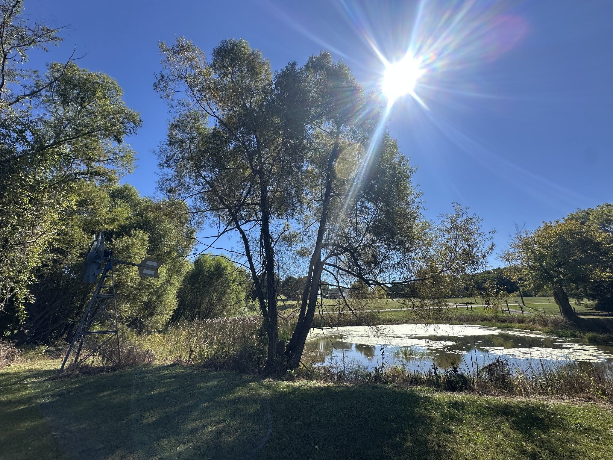 Mount Juliet, Tennessee, 37122, United States, 3 Bedrooms Bedrooms, ,3 BathroomsBathrooms,Residential,Active,1945349