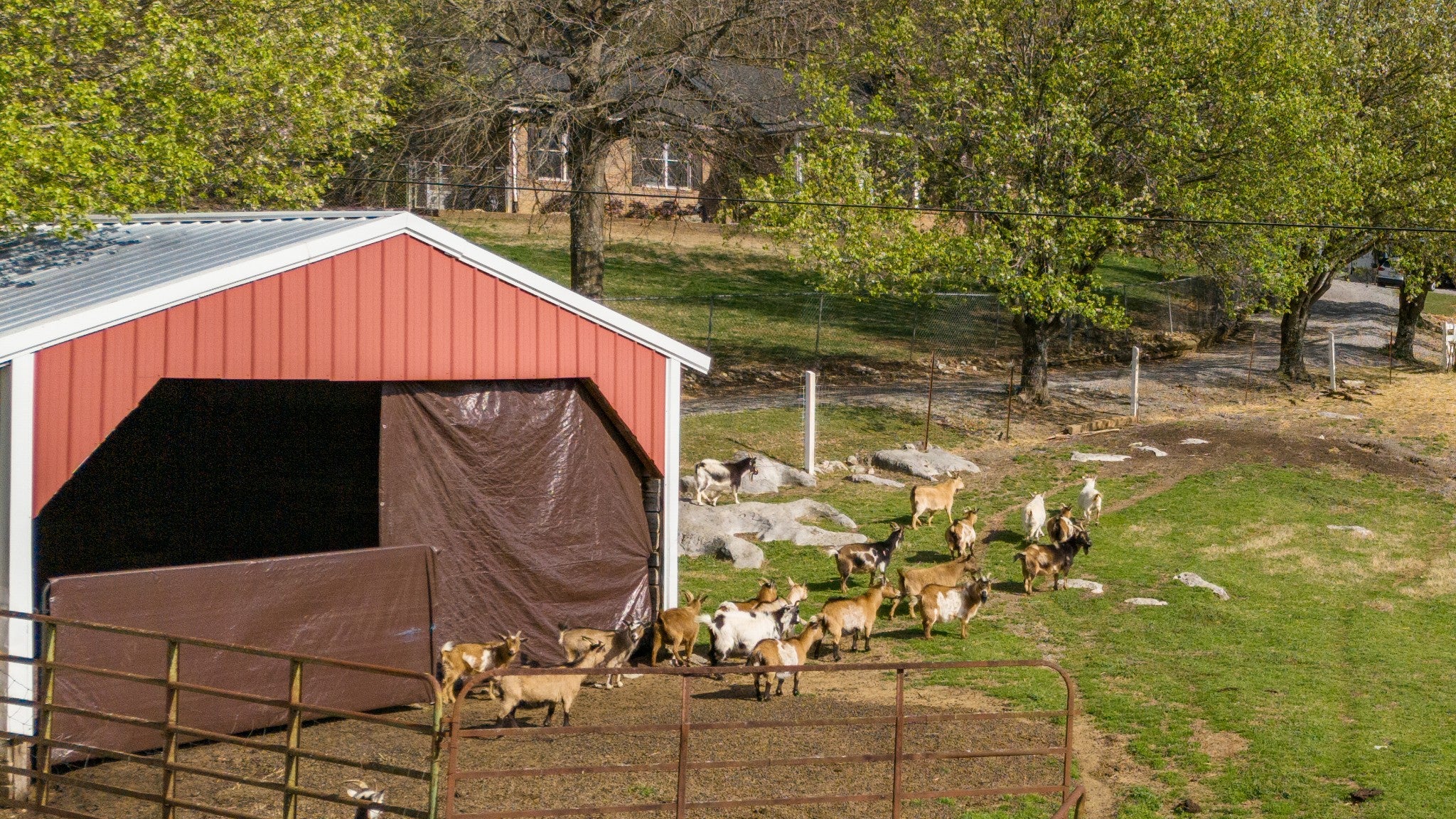 Dowelltown, Tennessee, 37059, United States, 4 Bedrooms Bedrooms, ,2 BathroomsBathrooms,Residential,Active,1745626